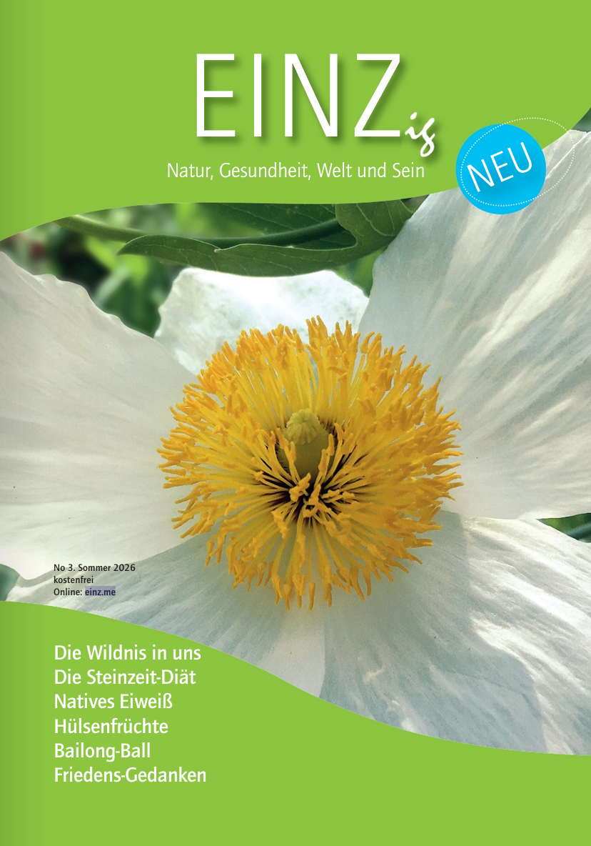 Einz-Magazin